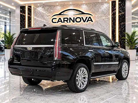 2018 Cadillac Escalade 2WD 4dr Luxury photo 5